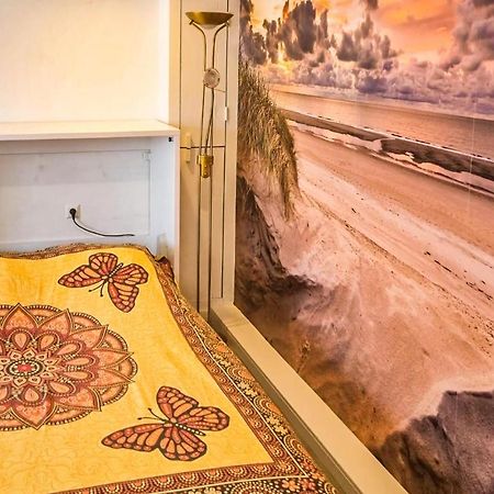 Windwijser بيرشن أن زي المظهر الخارجي الصورة